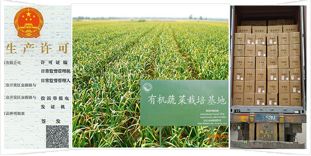 强大的公司实力