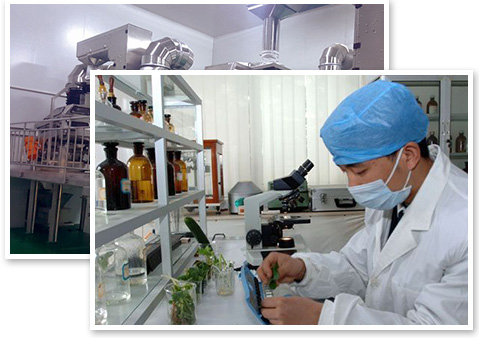 完善的质量管理体系